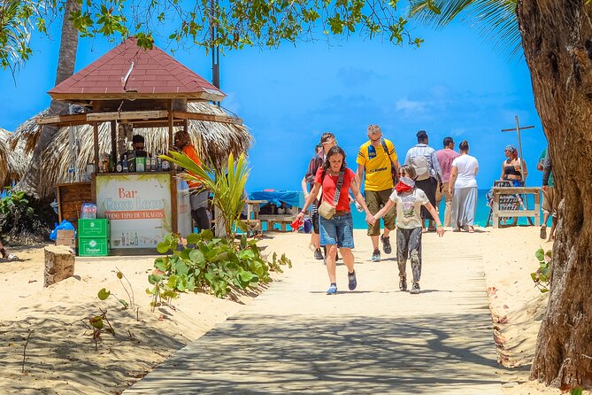 Ultimate Dune Buggies / ATVs / Polaris Tour In Punta Cana - The beach stop, swimming, and buggy boarding