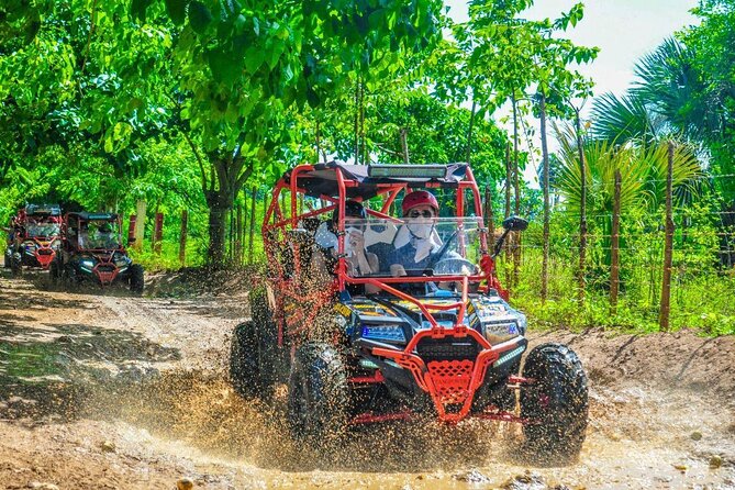 Ultimate Dune Buggy and ATV Adventure with Cenote, Beach & Ranch - Key points to know before booking