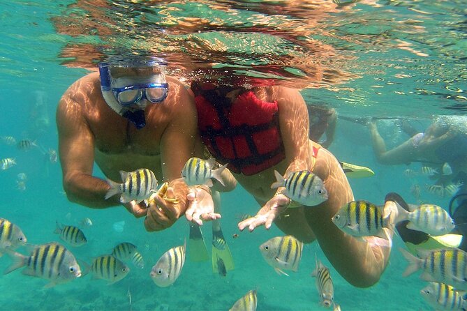 VIP Catamaran with Snorkeling - Pickup at 7:00 am and the Value of an Early Start