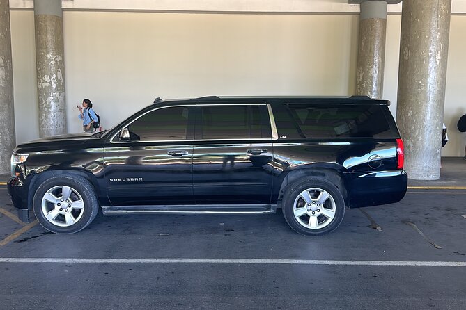 VIP SUV Airport Transfer from Punta Cana/Bavaro - A look at the arrival sequence