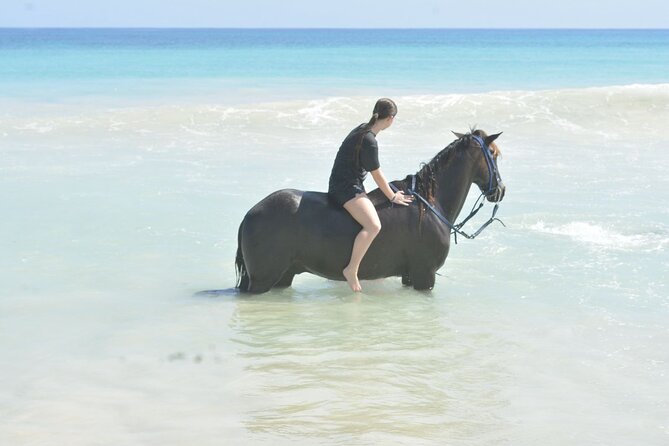 Want to Learn to Gallop at Bavaro Punta Cana Beach! - Riding Pace and Comfort