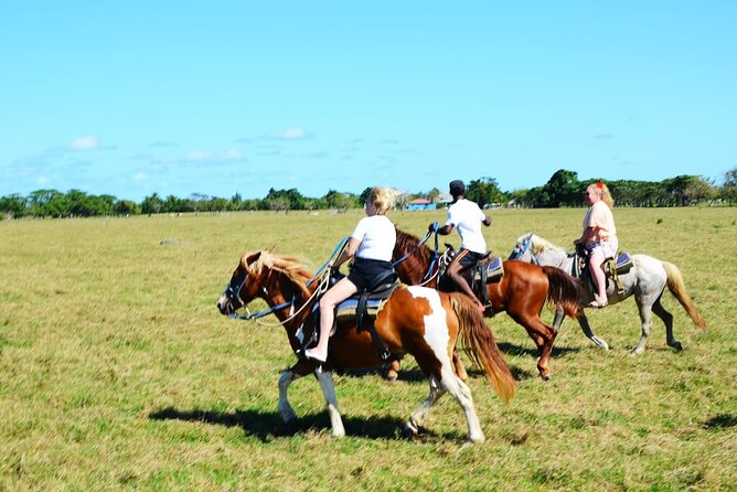 Want to Learn to Gallop at Bavaro Punta Cana Beach! - What the Two-Hour Schedule Really Gives You