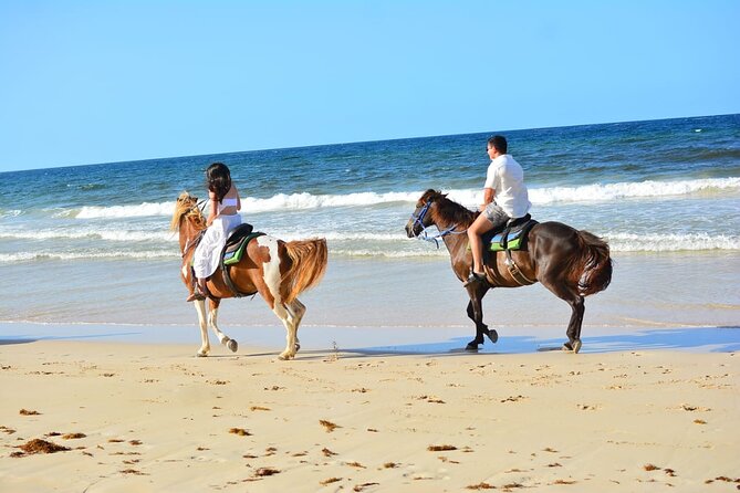 Want to Learn to Gallop at Bavaro Punta Cana Beach! - Is $65.95 a Fair Price?