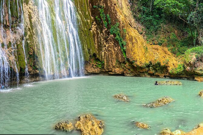 Whale Watching & Limón Waterfall Day Trip - Ten hours of transportation changes the value