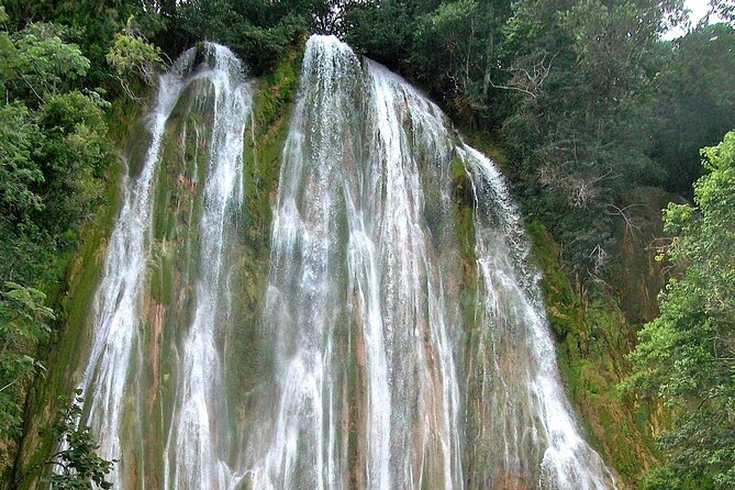 Whale Watching & Limón Waterfall Day Trip - Who should book this Samaná day trip