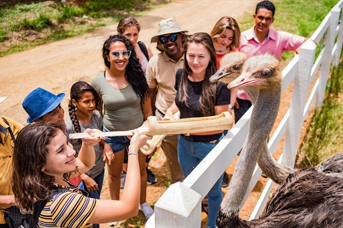Xploration Animal Encounters Half Day Tour from Punta Cana - A countryside outing with several moving parts