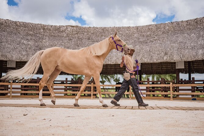 Xploration Animal Encounters Half Day Tour from Punta Cana - Is $90 a fair price?