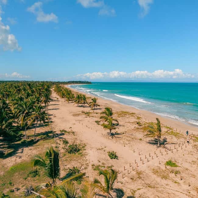 Zip Line Playa Esmeralda With Redonda Mountain - Dominican lunch keeps the schedule practical