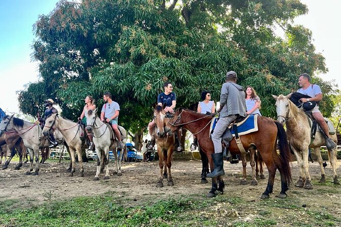 Zipline,Dune Buggy,Horse Riding - A country home and a taste of rural Punta Cana